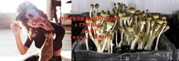 MDMA Premium VHQ Богданович