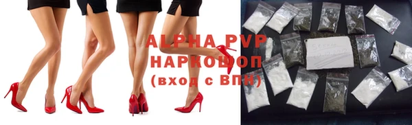 стаф Богородицк