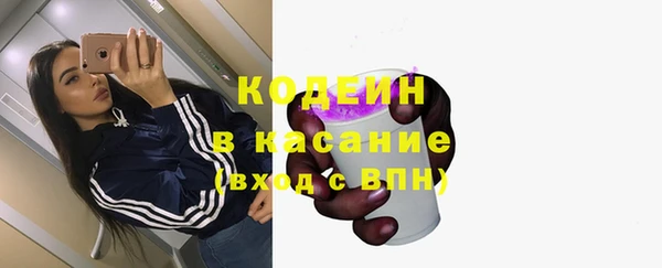 стаф Богородицк