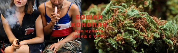 стаф Богородицк