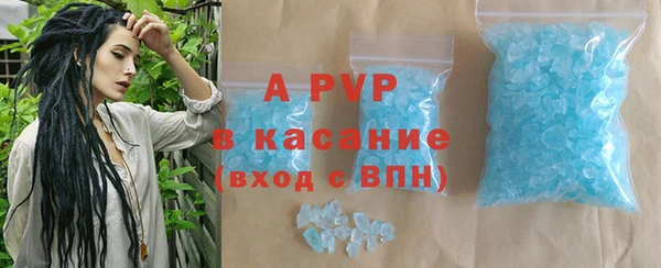 стаф Богородицк